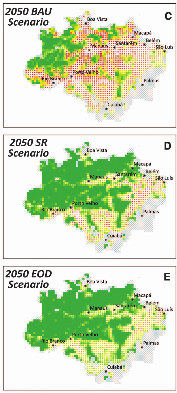 Three maps showing projections of land use change in the Amazon region for the year 2050 under three different scenarios: BAU (Business As Usual), SR (Sustainable Reduction), and EOD (End of Deforestation).  2050 BAU Scenario (top map): Displays significant deforestation, with widespread red and yellow grid cells indicating areas of high land-use change, especially near major cities like Manaus, Belém, and Porto Velho. Green areas representing intact forest are sparse.  2050 SR Scenario (middle map): Shows reduced deforestation compared to the BAU scenario, with larger areas of green representing intact forests and fewer red and yellow grid cells, indicating moderate land-use change.  2050 EOD Scenario (bottom map): Highlights minimal deforestation, with the majority of the region covered in green, symbolizing preserved forest. Few red and yellow areas indicate very limited land-use change.